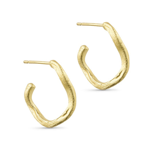 Nina eyrnalokkar, gylltir