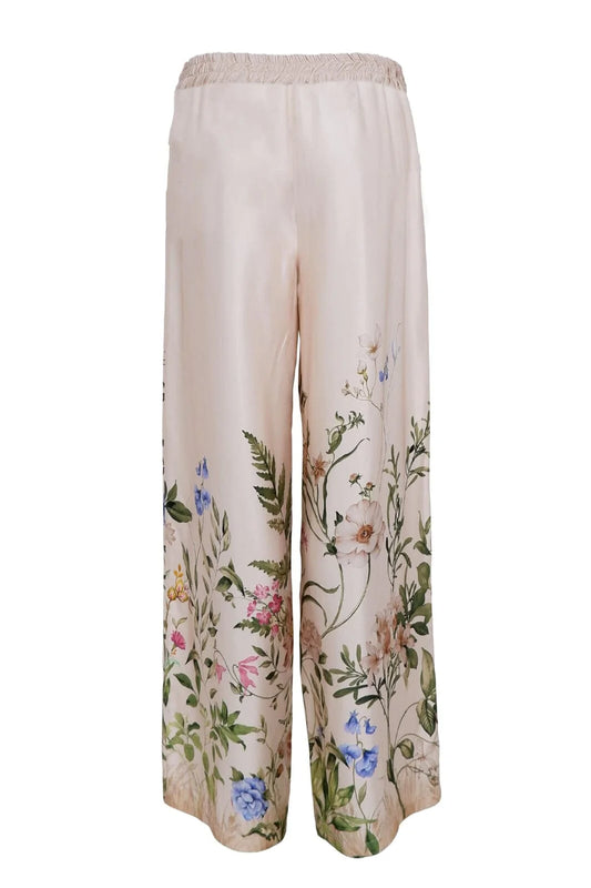 Zennia buxur, champagne