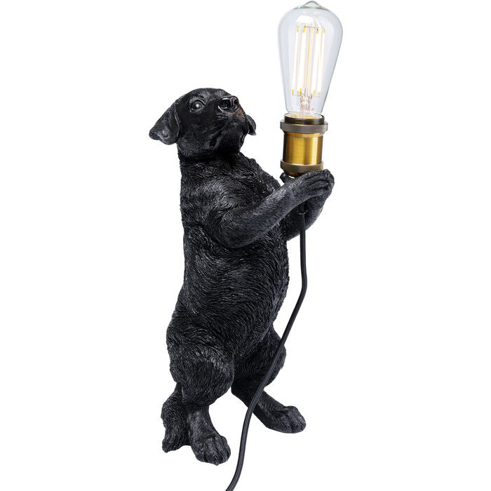 Perro borðlampi