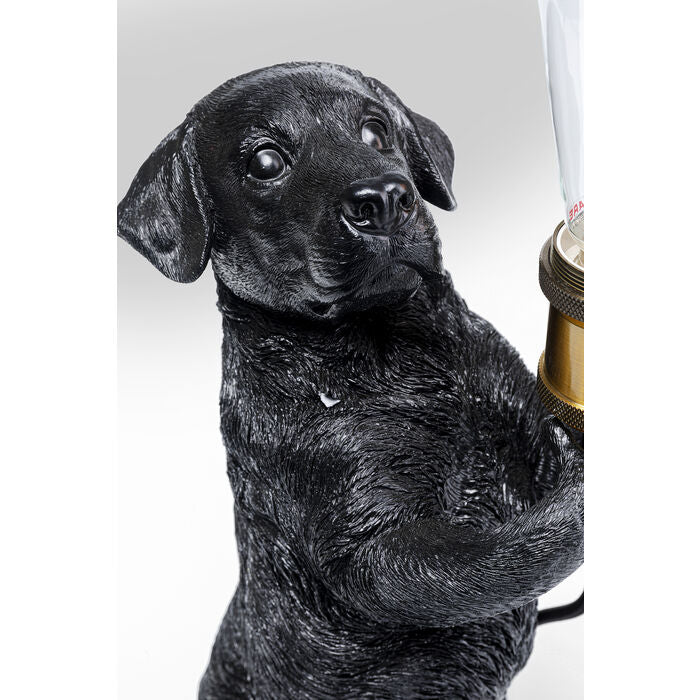 Perro borðlampi