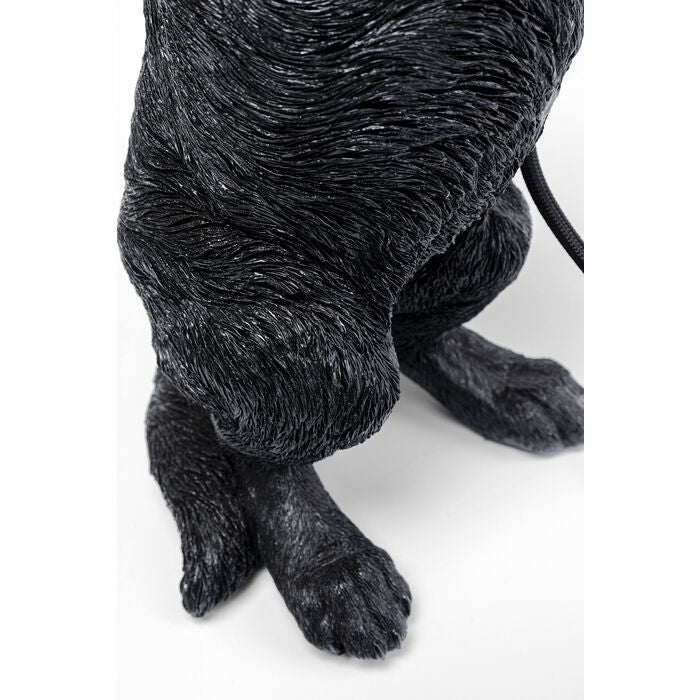 Perro borðlampi
