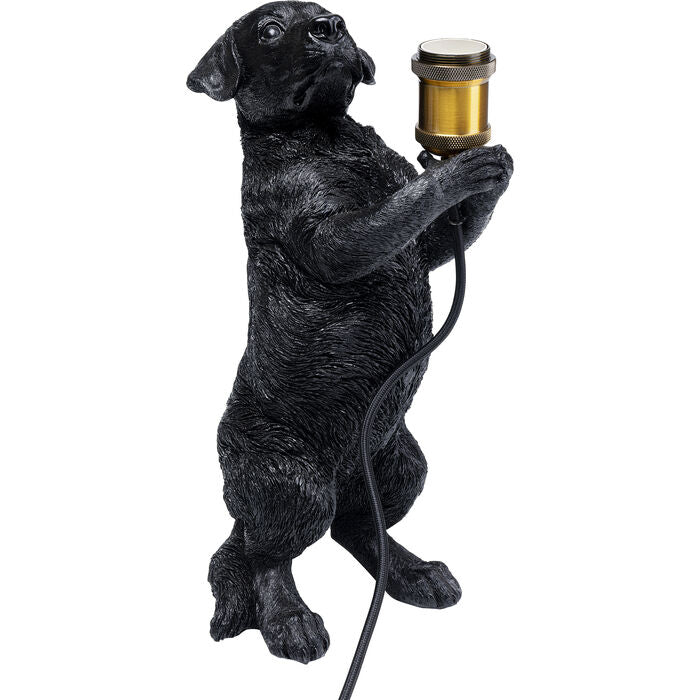 Perro borðlampi