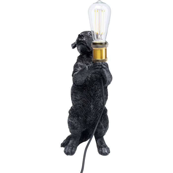 Perro borðlampi