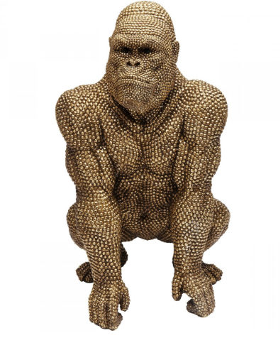 Górilla gyllt, stærri