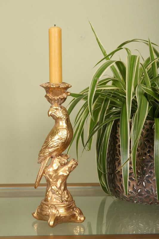 Kertastjaki, páfagaukur