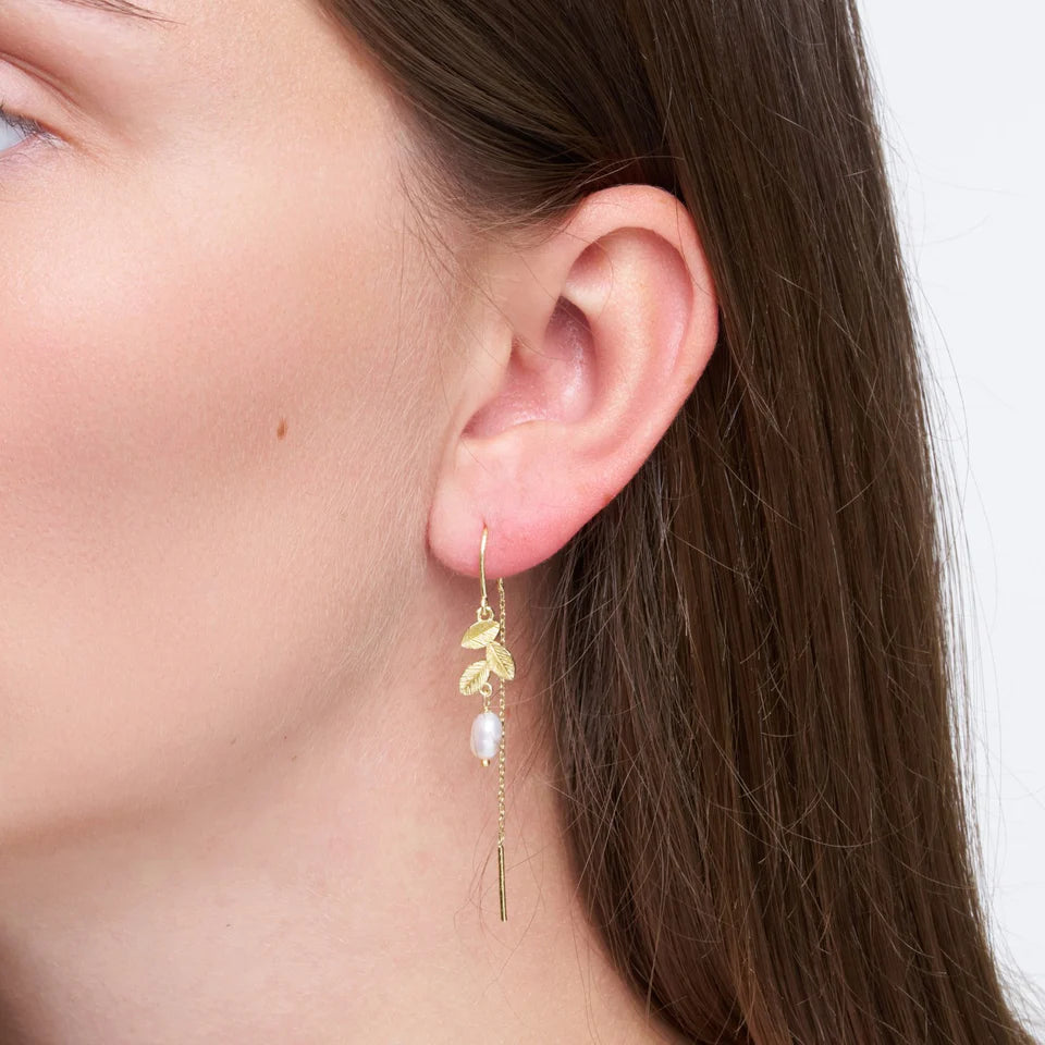 Dahlia eyrnalokkar, gylltir