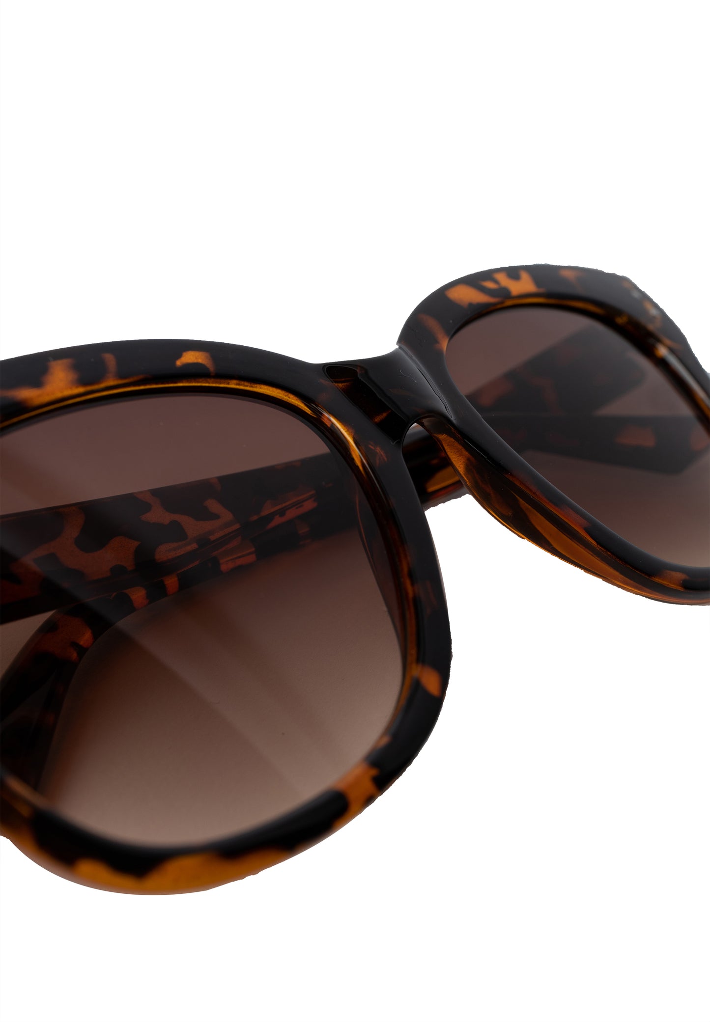 Singapore sólgleraugu, tortoise