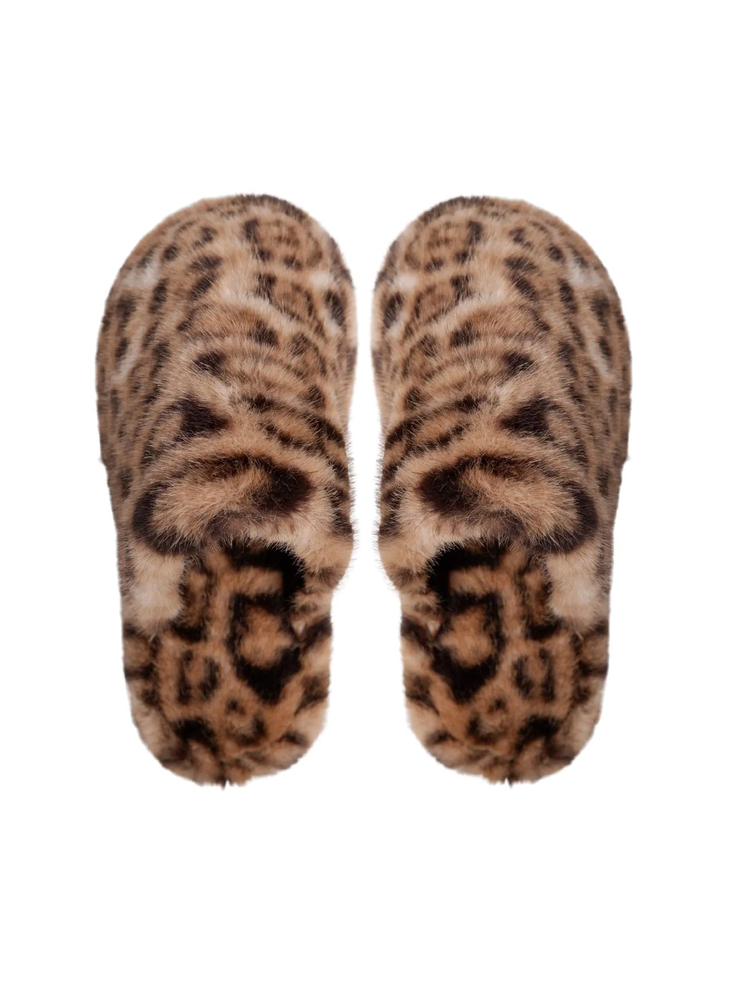 Blaze inniskór, hlébarða