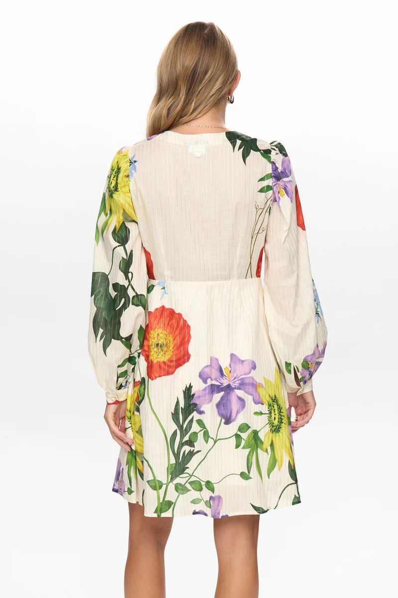 NuBelisa kjóll, ljós