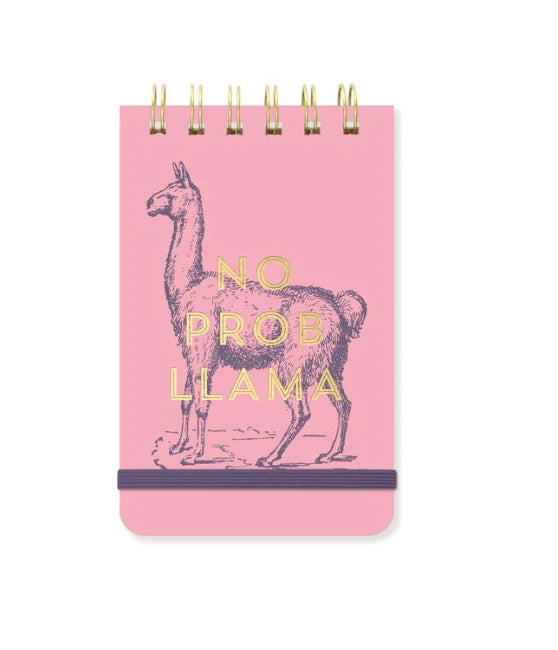 Skrifblokk, no ProbLlama